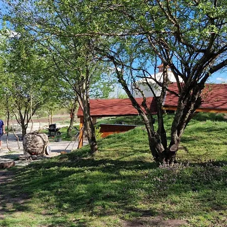 Gala Park Fpv Кемпинг