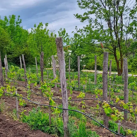 Gala Park Fpv مكان تخييم